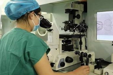 新加坡试管婴儿之路，结婚证非唯一门槛，全面了解必备证件流程