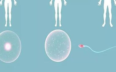 2026年拉拉去烟台如何做试管？les试管流程介绍