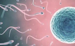 国内哪里可以做助孕试管婴儿？