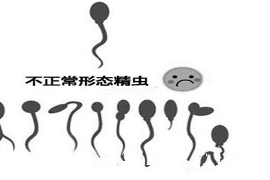 福州试管哪家医院好？福州试管婴儿的价格多少？