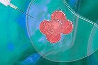 2026年在泰国杰特宁做一次试管费用多少？