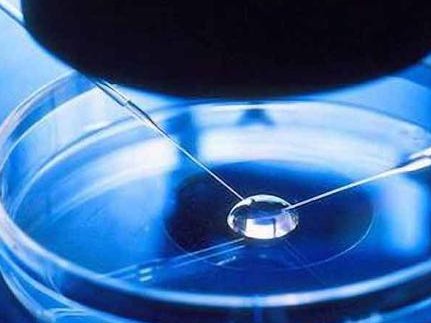 厦门第三代试管婴儿费用一览：一次怀孕生子全流程价格揭秘